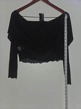 Black Sheer Off-Shoulder Long-Sleeve Crop Top